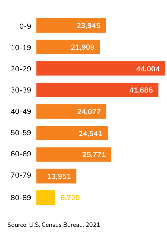 Demographics Chart - Age Demographics Chart - Age