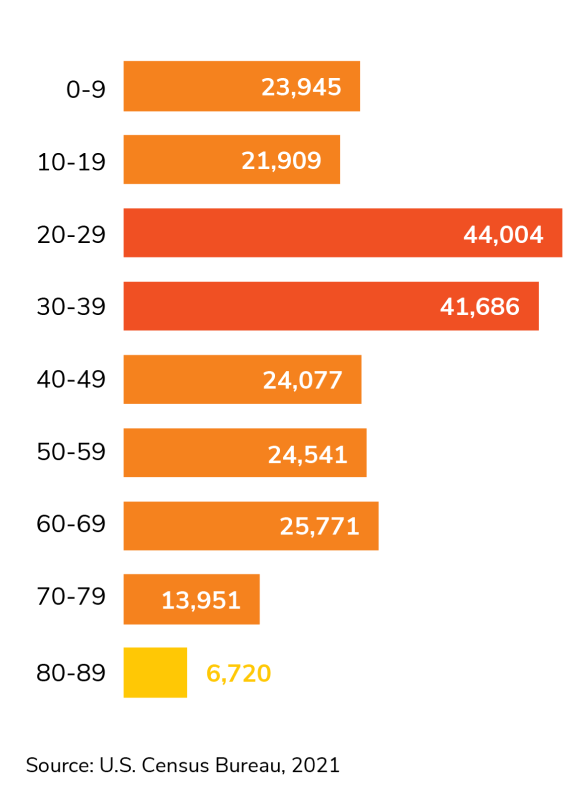 Demographics Chart - Age